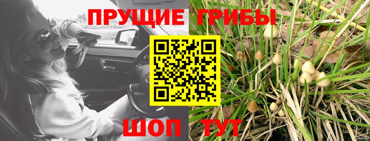 Псилоцибиновые грибы Psilocybine cubensis  Вход с VPN  Альметьевск 